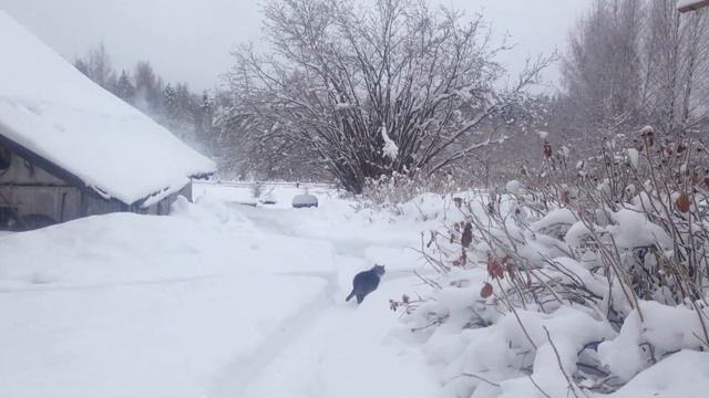 Художественный свист смотреть онлайн