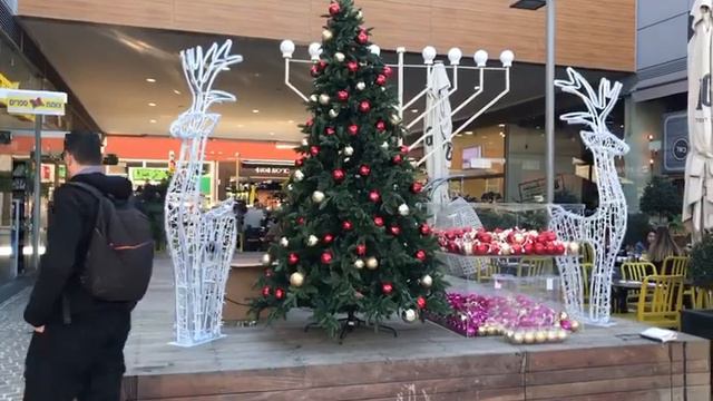 עץ אשוח מוצג במתחם בביג פאשן אשדוד смотреть онлайн
