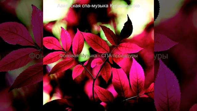 Звуки (Уход за лицом) смотреть онлайн