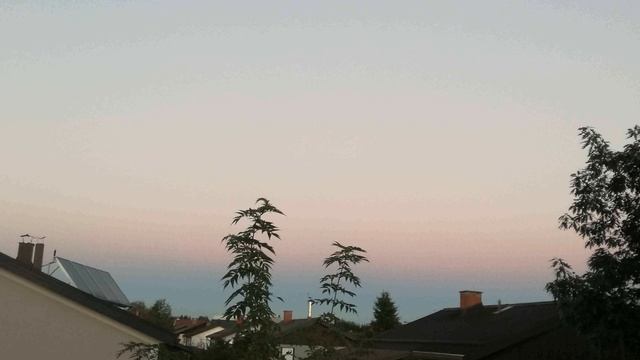 Anex Pleind - 27 DEMO