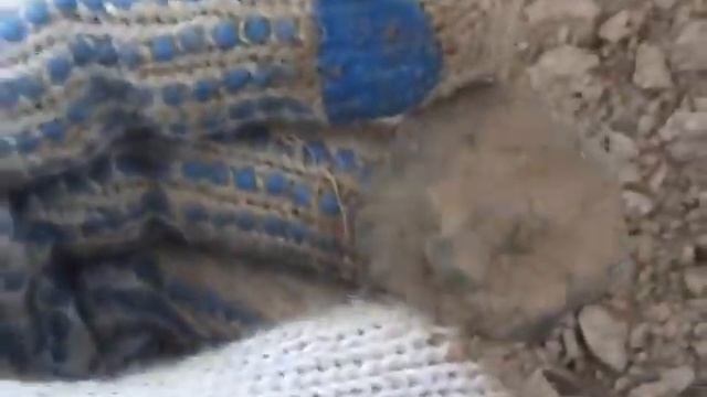 Поиски клада на Поле Чудес 2 / Metal Detecting on field of dreams смотреть онлайн