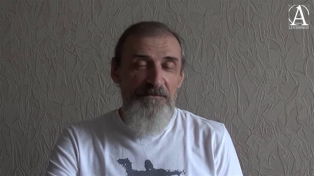 Взрослые как дети. Мастер-взгляд Андрея Левшинова. смотреть онлайн