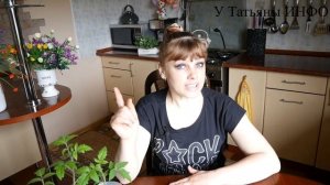 Подкормка рассады НАШАТЫРНЫМ СПИРТОМ творит ЧУДЕСА прямо на глазах!