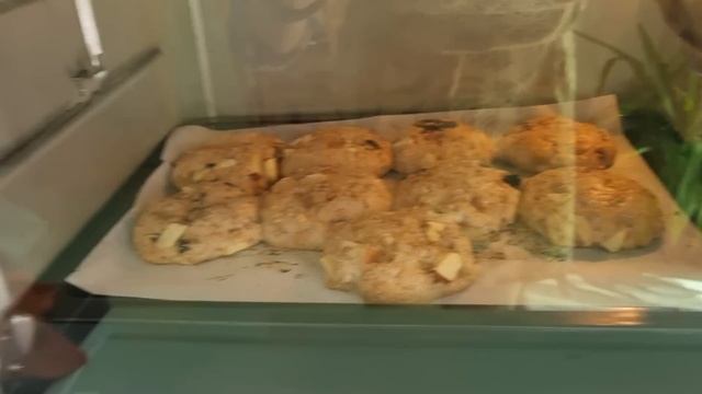 Французская Семейка на ПП - Наш недельный рацион - ПП ТАРЕЛОЧКИ от Elena France смотреть онлайн