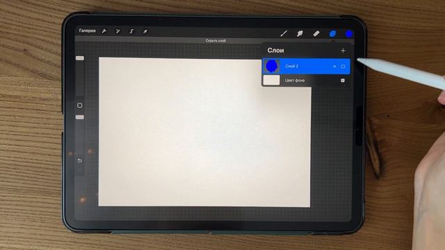 Функции программы Procreate для новичков