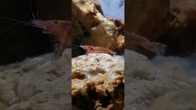Гектааар... смотреть онлайн