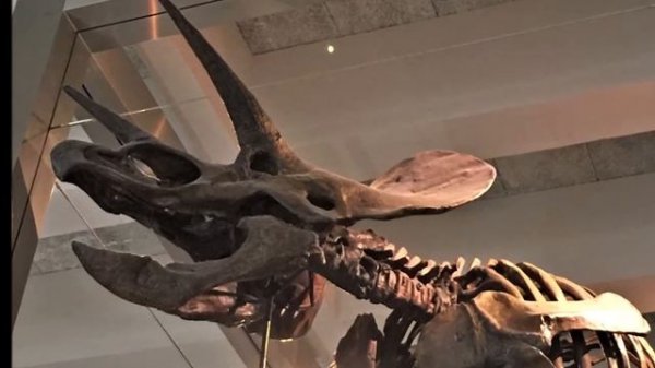 Belfast. Белфаст:  несколько незабываемых дней ...