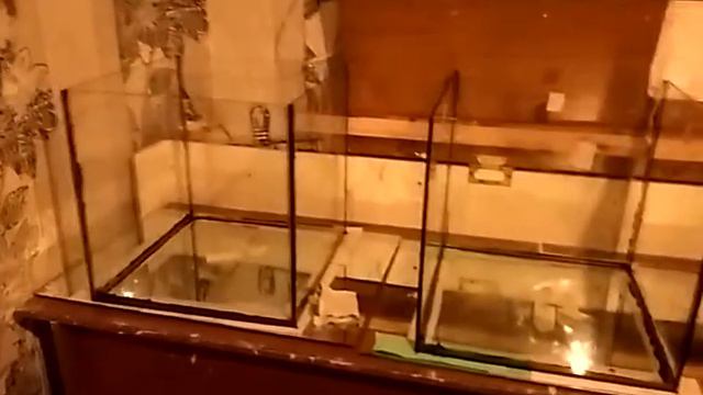 МЕЧЕНОСЕЦ ВИЛЬЧАТАЯ РОДИЛА В ОБЩЕМ смотреть онлайн
