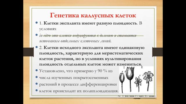 Клеточная инженерия смотреть онлайн