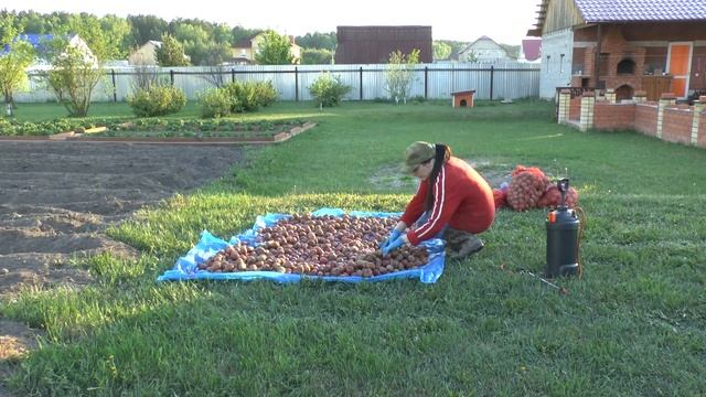Обработка от колорадского жука. Жизнь в деревне, посадка картошки. смотреть онлайн