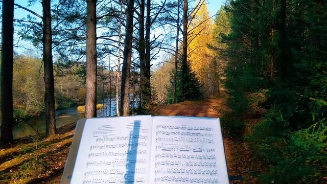 А Пушкин Я пережил свои желанья #стихиободиночестве #поэты19века смотреть онлайн