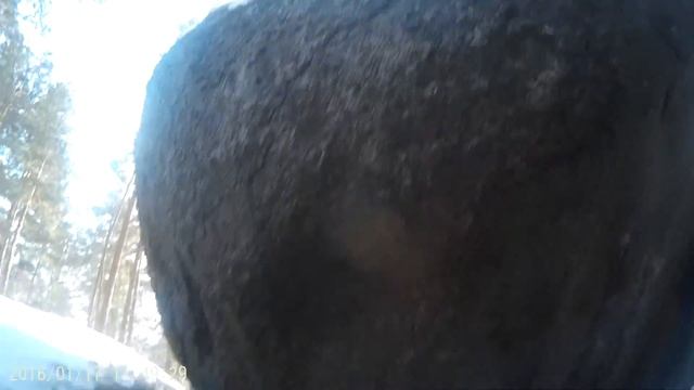 Мегалит"4 брата" Алтайский край, Белокуриха,часть2 смотреть онлайн