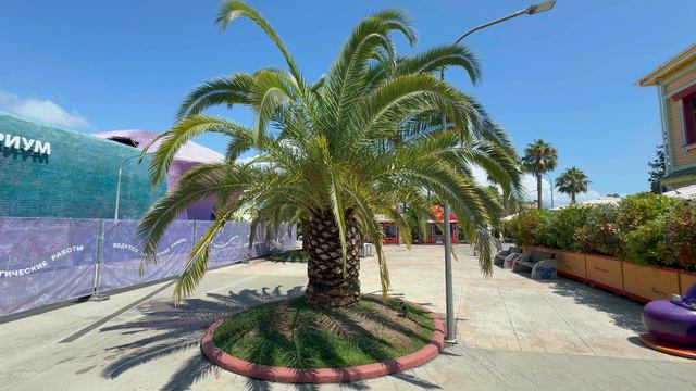 Nevermore от Meurch, новинки музыки, клип 2024