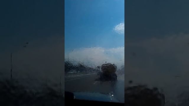 поливалка смотреть онлайн