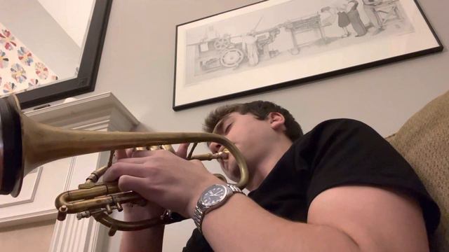 Smooth Muted Cornet Improv Jazz смотреть онлайн
