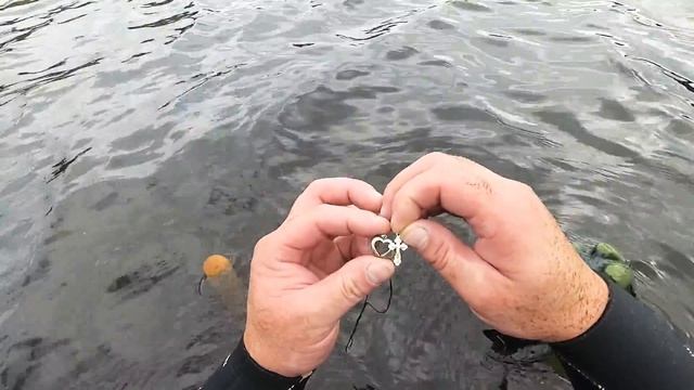Коп по воде с Deus xp отпуск.... смотреть онлайн