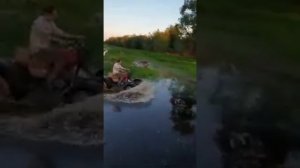 Иж с двс двс лифан 11.5лошадей