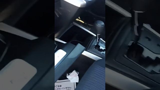 Отзыв о компании LEVCAR. TOYOTA Corolla Fielder 2019г.