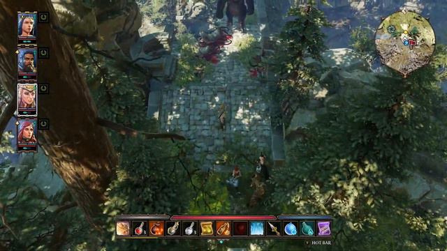 Where to find Blackroot for ritual(Divinity Original Sin 2) смотреть онлайн