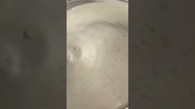 Гоним гидролат можжевельника на медном аламбике/juniper hydrosol on alambic смотреть онлайн