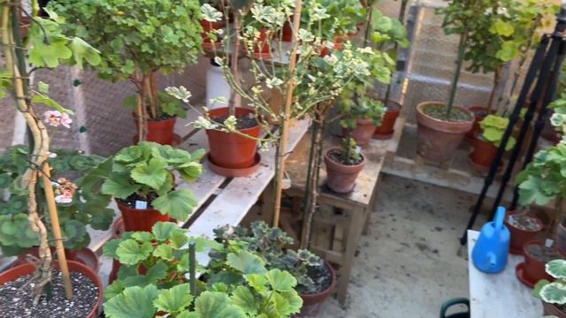 Work Starts Soon смотреть онлайн