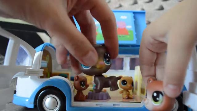 *Littlest Pet Shop: НОВОЕ семейство медведей на пикнике* смотреть онлайн
