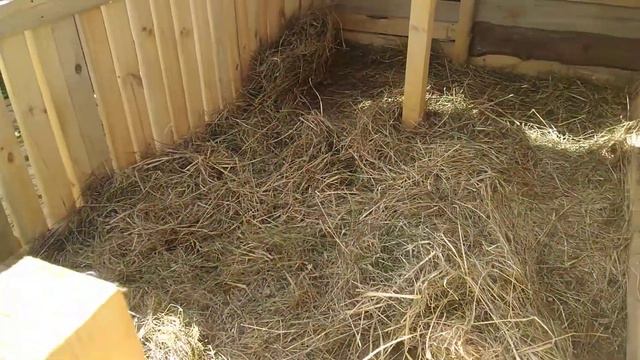 Вольер для свиней смотреть онлайн