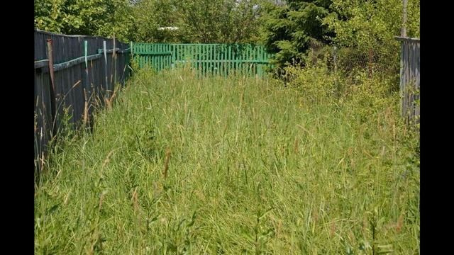 Деревня Ядромино Истринский район. Площадь уча...