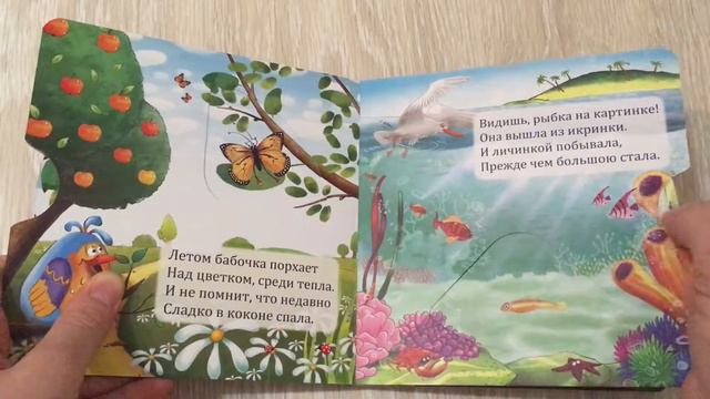 IMG 7769 смотреть онлайн