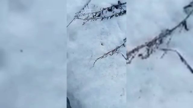 Подборка приколов смотреть онлайн