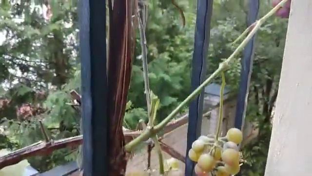 Гостевые дома АПАРТ-СИТИ в Минске смотреть онлайн