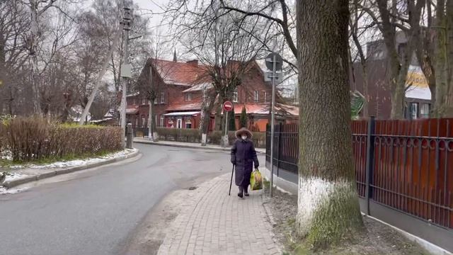 Зеленоградск - город Кошек| Курортный город России| Что посмотреть в Калининградской области смотреть онлайн