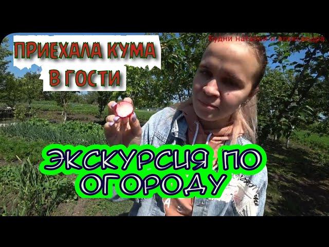 АНГЕЛИНА ПРОБУЕТ МОЙ ПЕРВЫЙ УРОЖАЙ/ОБЗОР ОГОРОДА/ СИЛЬНЫЙ ВЕТЕЛ СЛОМАЛ ВИШНЮ/НАША РЫБАЛКА/ смотреть онлайн