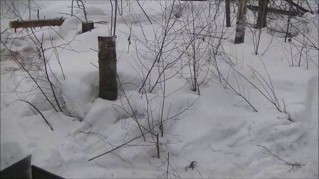 Март 2019г Таёжные озёра смотреть онлайн