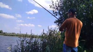 Фидер на реке Усманке 2021.   Рыбалка в Воронежской области 2021.