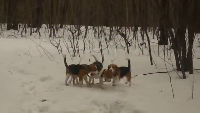 Биглевстреча в Самаре 2 смотреть онлайн