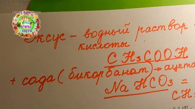КАРАУЛ! КАЛЬЦИЙ И КАЛИЙ СОЕДИНИЛИ! А ЗОЛУ НЕ ПОГАСИЛИ УКСУСОМ... смотреть онлайн