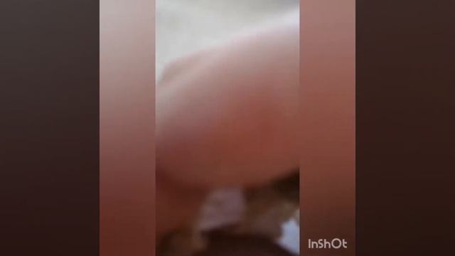 Пролили кофе на мебель? Что делать?