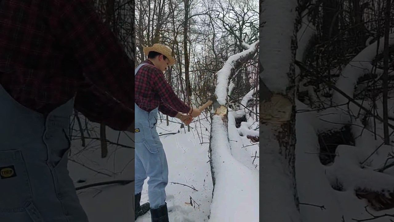 Опробовал новый топор в деле! #survival #bushcraft #выживание #knife #forest #бушкрафт #ковка смотреть онлайн