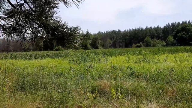 С Днем Рождения, Любимый Мой Муж Игоречек!❤❤❤ смотреть онлайн