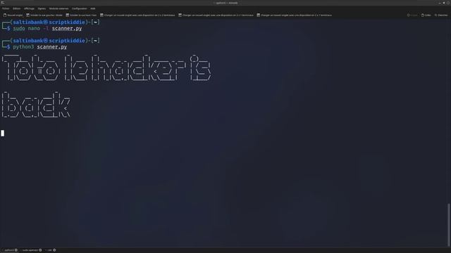 SALTINBANK - PYTHON FOR PENTESTER : Coder un programme qui va servir de "scanner" de ports réseaux смотреть онлайн