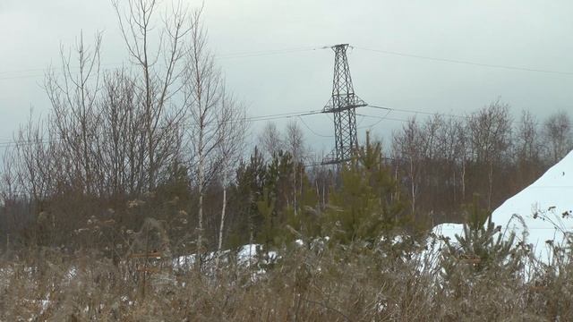 ловля щеглов Carduelis carduelis) 7 января 1 часть اصطياد الطيور المغردة смотреть онлайн