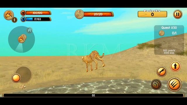 Wild Cheetah Simulator Games - Wild Animals Game | Cheetah Games | Animal Games | RKM Gaming смотреть онлайн