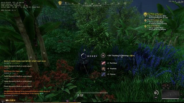 Что изменилось в New World в 2023 ( Сервер - Kronos ) (Часть 1) смотреть онлайн