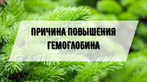 Причина повышения Гемоглобина