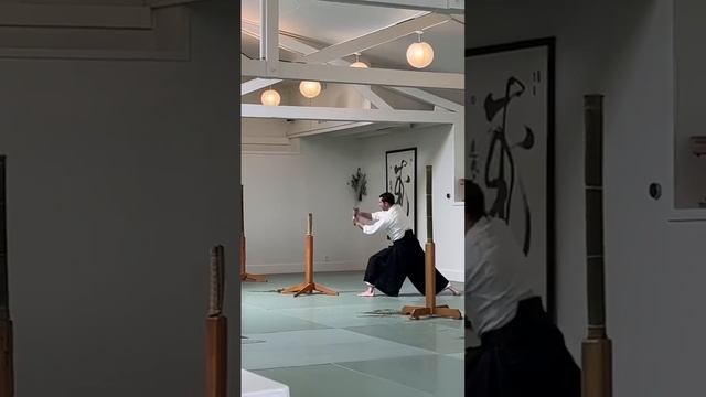 Tameshigiri at the dojo смотреть онлайн