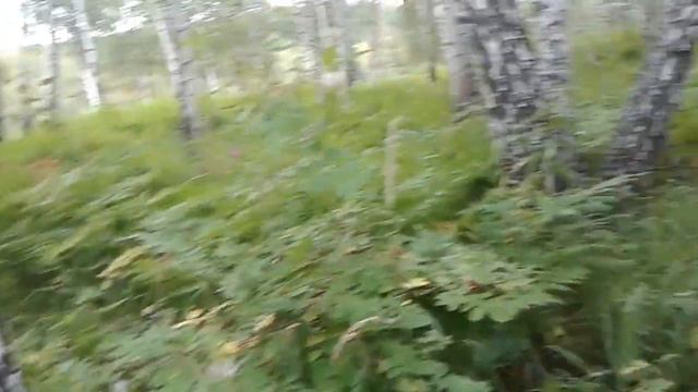 Уковский водопад (г.Нижнеудинск) смотреть онлайн