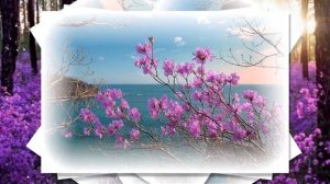 Осенний багульник Любовь Белогорцева Автор видео Нина Рудакова