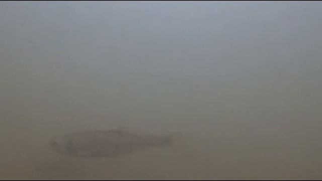 Неожиданная рыбалка и съемка под водой смотреть онлайн