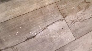 Как работает пароочиститель КЕРХЕР I техника КЕРХЕР I Karcher пароочиститель